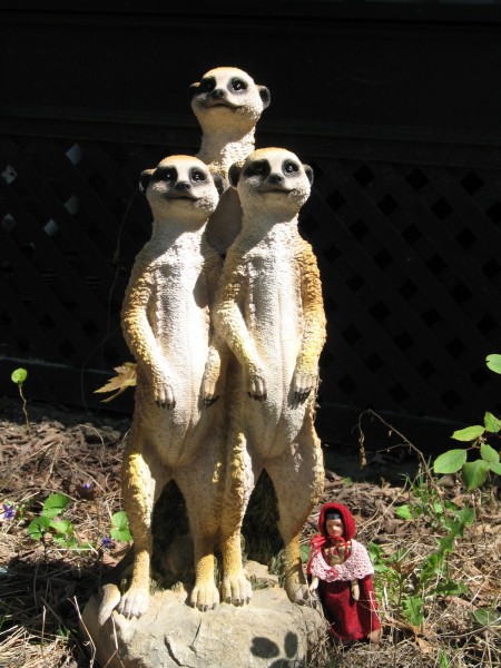 Posing with the Richmond Meerkats, a family relocated here courtesy of G3 and GoodWitch, our Person's DS and DIL