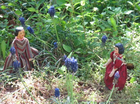 Aha - we have spotted the motherlode of grape hyacinths.  Clearly, our work is cut out for us.